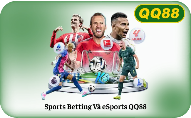 Cá cược thể thao và Esports tại QQ88 với SBOBET và odds cạnh tranh